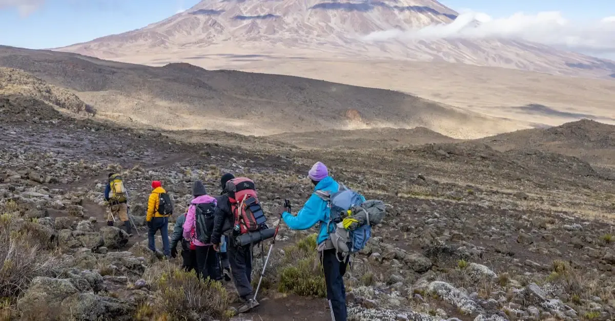 Kilimanjaro besteigung preis
